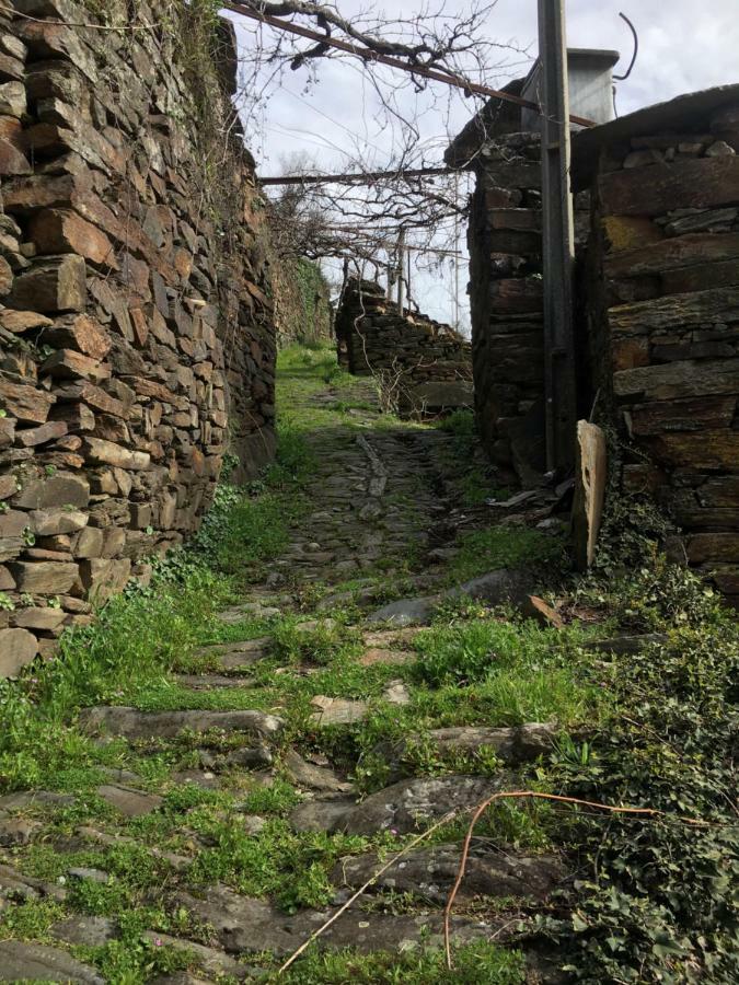 Casa Do Volframio Βίλα Αρούκα Εξωτερικό φωτογραφία